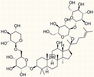 人参皂苷Rb3,分析标准品,HPLC≥97%