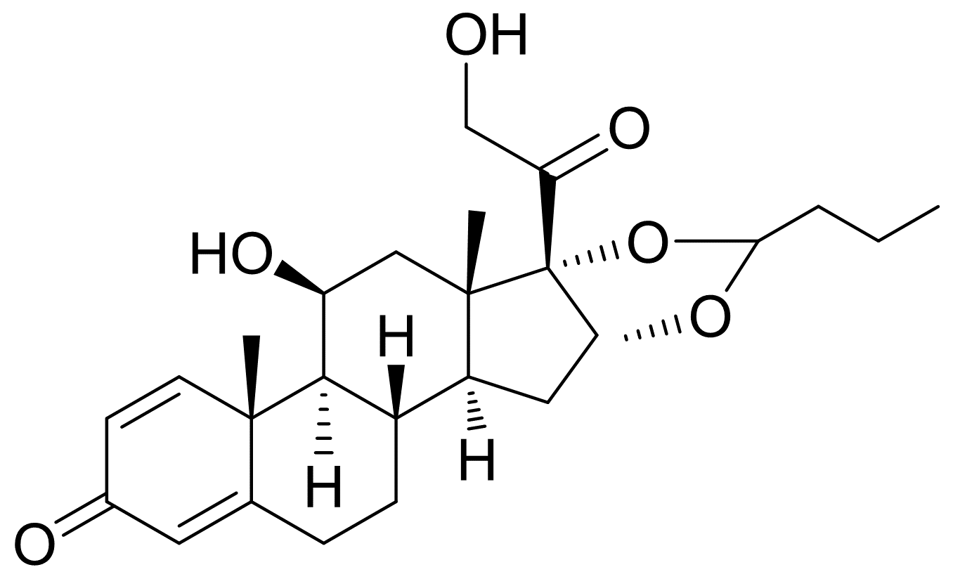 布地奈德,分析标准品,HPLC≥98%
