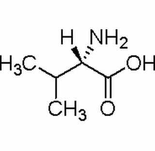 L-缬氨酸,分析标准品,HPLC≥98%