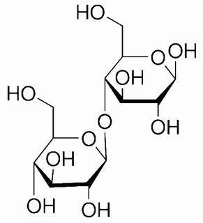 D-纤维二糖,分析标准品,HPLC≥98%