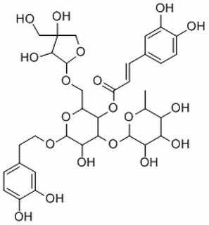 连翘酯苷B,分析标准品,HPLC≥98%