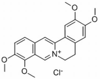 盐酸巴马汀,分析标准品,HPLC≥98%