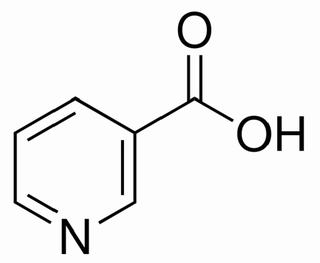 维生素B3,分析标准品,HPLC≥99%