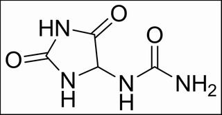 尿囊素,分析标准品,HPLC≥98%
