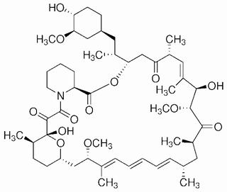 雷帕霉素,分析标准品,HPLC≥99%