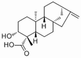 ent-3β-Hydroxykaur-16-en-19-oic acid,分析标准品,HPLC≥98%