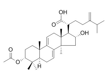 3-表去氢茯苓酸,分析标准品,HPLC≥95%
