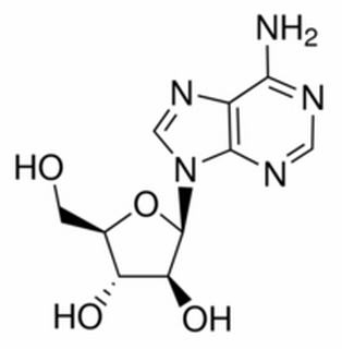 阿糖腺苷,分析标准品,HPLC≥98%