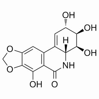 水仙环素,分析标准品,HPLC≥98%