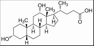 去氧胆酸,分析标准品,HPLC≥98%