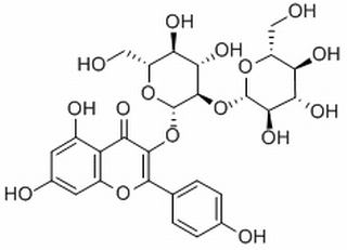 山奈酚-3-O-β-D-槐糖苷,分析标准品,HPLC≥98%