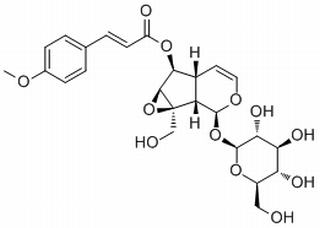 6-O-p-Methoxycinnamoylcatalpol,分析标准品,HPLC≥98%
