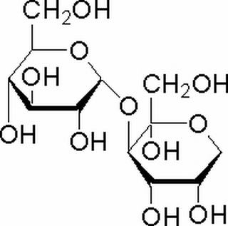 松二糖,分析标准品,HPLC≥98%