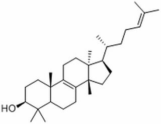 大戟二烯醇,分析标准品,HPLC≥98%