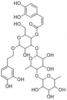 紫茎女贞苷A,分析标准品,HPLC≥95%