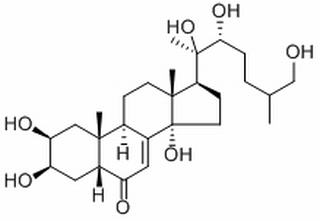 牛膝甾酮,分析标准品,HPLC≥98%