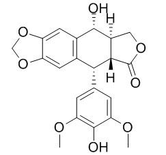4'-去甲鬼臼毒素,分析标准品,HPLC≥98%