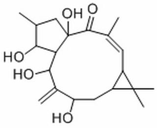 7-羟基千金子二萜醇,分析标准品,HPLC≥98%