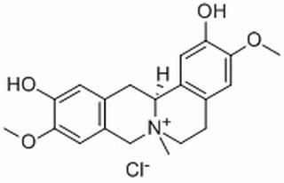 盐酸黄柏碱,分析标准品,HPLC≥98%