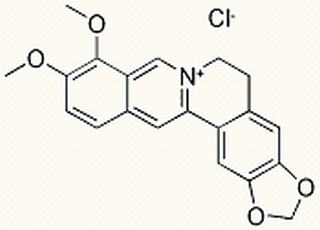 盐酸小檗碱,分析标准品,HPLC≥98%
