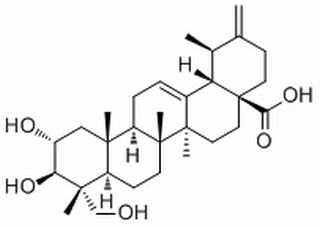 Actinidic acid,分析标准品,HPLC≥98%