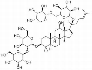 人参皂苷Rb2,分析标准品,HPLC≥98%