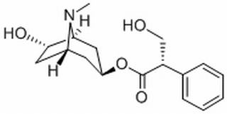消旋山莨菪碱,分析标准品,HPLC≥98%