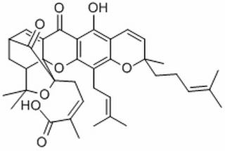 藤黄酸,分析标准品,HPLC≥98%