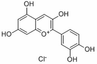 氯化矢车菊素,分析标准品,HPLC≥98%