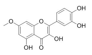 beta-鼠李素，分析标准品,HPLC≥98%