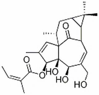 巨大戟醇-3-O-当归酸酯,分析标准品,HPLC≥98%