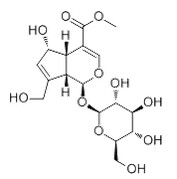 去乙酰车叶草酸甲酯,分析标准品,HPLC≥98%