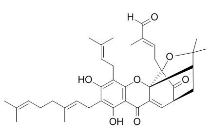 Isogambogenin,分析标准品,HPLC≥95%