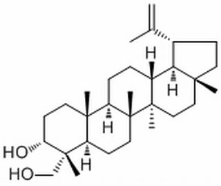 Lup-20(29)-ene-3α,23-diol,分析标准品,HPLC≥98%