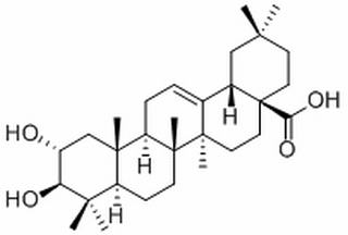 山楂酸,分析标准品,HPLC≥98%