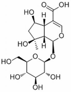山栀苷,分析标准品,HPLC≥95%