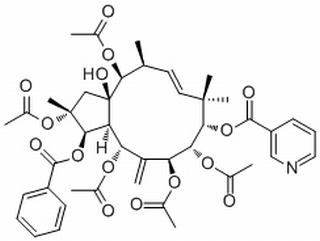 Pepluanin A,分析标准品,HPLC≥98%