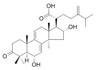 6α-羟基猪苓酸C,分析标准品,HPLC≥95%