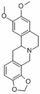 四氢表小檗碱,分析标准品,HPLC≥98%
