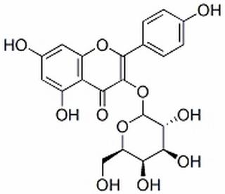 三叶豆苷,分析标准品,HPLC≥98%