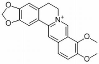 小檗碱,分析标准品,HPLC≥98%