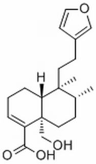 Hautriwaic acid,分析标准品,HPLC≥98%