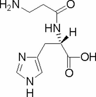 L-肌肽,分析标准品,HPLC≥98%
