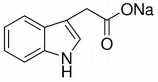 3-吲哚乙酸钠,分析标准品,HPLC≥98%