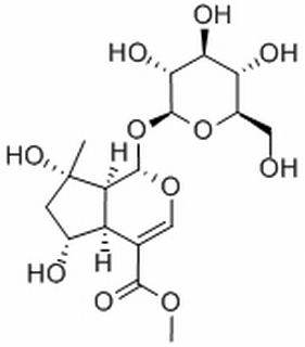 山栀苷甲酯,分析标准品,HPLC≥98%