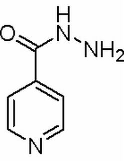 异烟肼,分析标准品,HPLC≥98%