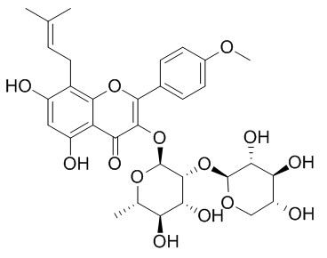 箭藿苷B,分析标准品,HPLC≥98%