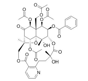 鬼箭羽碱,叶含卫矛碱,分析标准品,HPLC≥98%