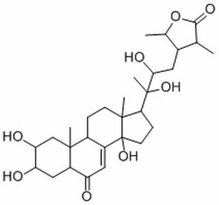 杯苋甾酮，分析标准品,HPLC≥98%