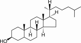 二氢胆固醇,分析标准品,HPLC≥98%
